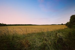 Photo 42- click for photo gallery